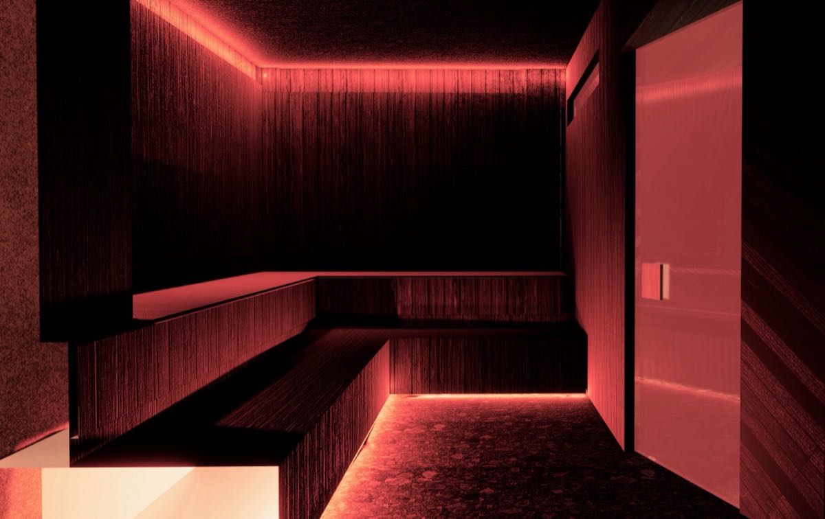 The infrared sauna