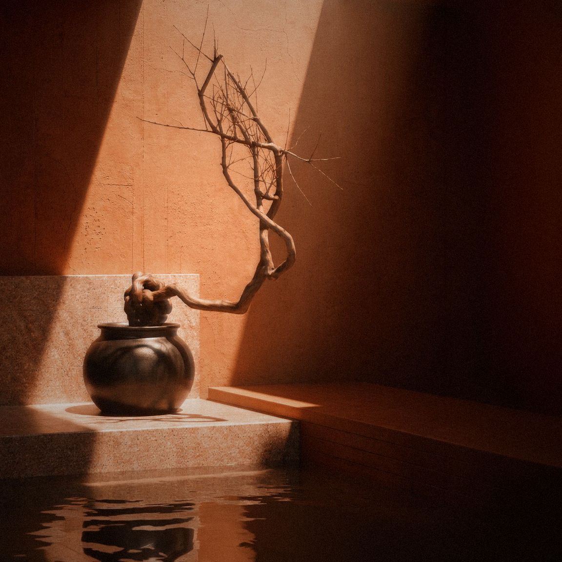 Vessel, branch and water